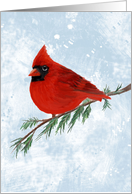 Cardinal Remembrance at the Holidays card