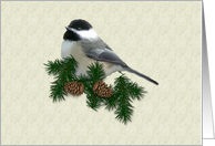 Chickadee Birthday card