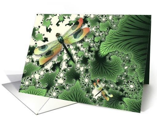 Dragonfly Blank card (386361)