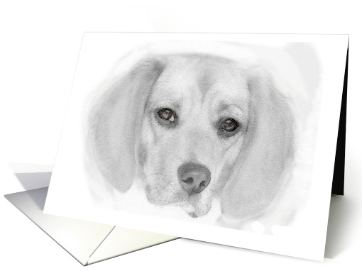 Beagle Blank card (410646)