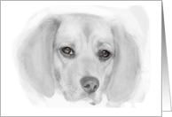 Beagle Blank card