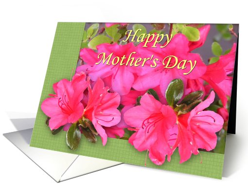 Azalea Mother's Day card (418333)