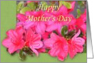 Azalea Mother’s Day Card