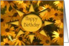 Black-Eyed Susans Birthday Card