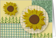 Country Sunflowers...