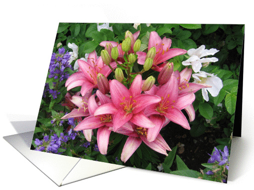 pink flowers card (279415)