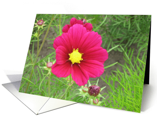  flower card (346669)