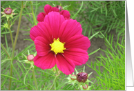  flower card