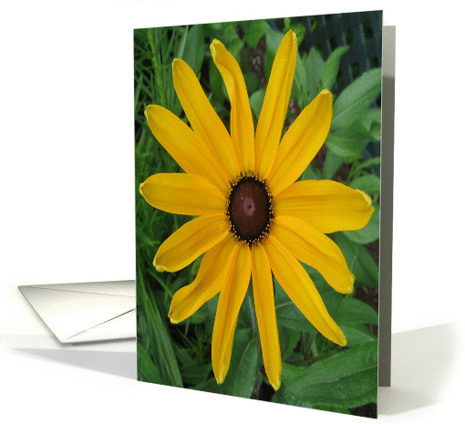yellow flower card (356792)