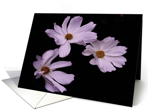 flowers card (356798)