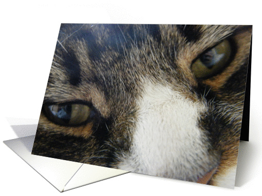 Is That a Camera? card (280708)