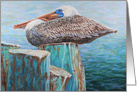 Pelican Birthday card