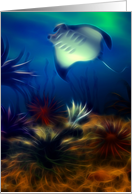 Manta Ray card