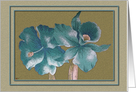 Blue Iris’s card