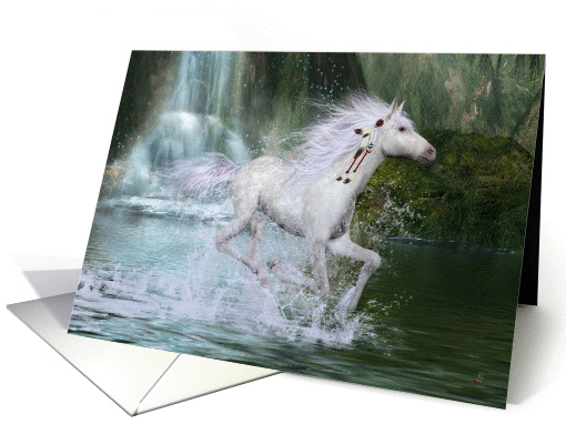 Wanageeska  (White Spirit - Sioux) card (364922)
