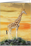 Sunset Giraffe card