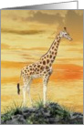 Sunset Giraffe card