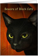 Beware of Black Cats...