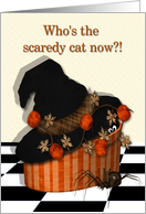 Who’s the scaredy cat now?-pumpkins, spider, witches hat, card
