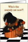 Who’s the scaredy cat now?-pumpkins, spider, witches hat, card