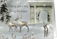 A Wishing you a very Merry Christmas- Christmas, Holiday, card