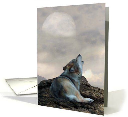 I am Wolf.., wolf, animal, wildlife card (522156)