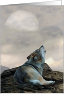 I am Wolf.., wolf, animal, wildlife card