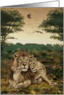 We are family- Lions, eagles, animal, wildlife card