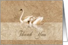 Thank you- Occassion, For the gift, Wedding Gift, rose, rope, stripes, card