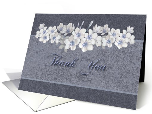 Thank you- Occassion, For the gift, Wedding Gift, Vanilla... (598055)