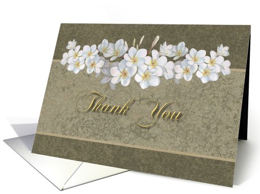 Thank you- Occassion, For the gift, Wedding Gift, Vanilla... (598057)