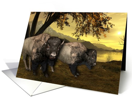 Buffalo, Bison, Native American Day, Holiday - Landscape... (658522)