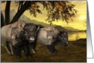 Buffalo, Bison, Native American Day, Holiday - Landscape scene with Bison card