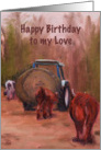 Birthday Man - cattle card