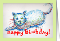 Birthday - Cat