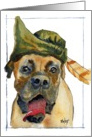 Birthday - Sherwood Boxer Dog in Robin Hood Hat card