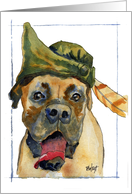 Sherwood Boxer Dog with Feather in Hat card