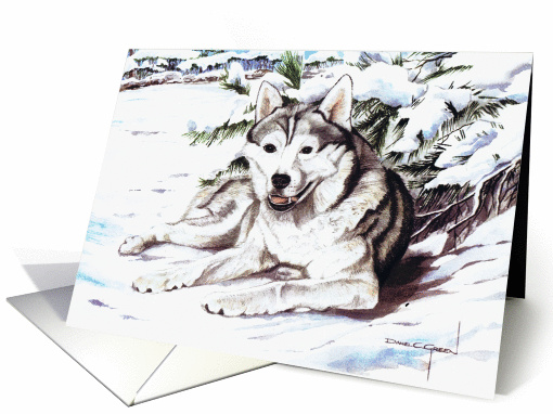 TIMBER card (379618)