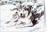 TIMBER card