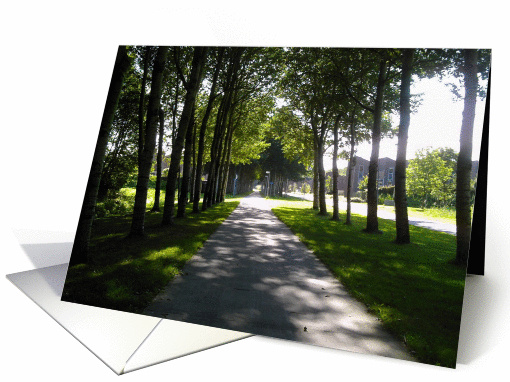 Dutch landscape card (290853)