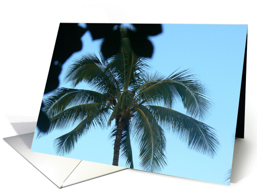 Palm Tree card (289954)