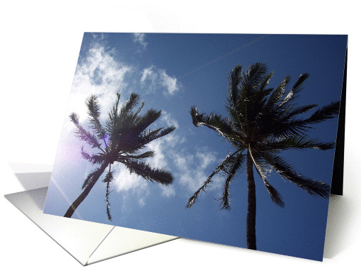 Palm Trees card (290006)
