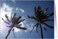 Palm Trees card