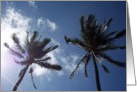 Palm Trees card