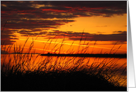 Sunset card