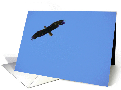 Soring Like an Eagle card (291075)