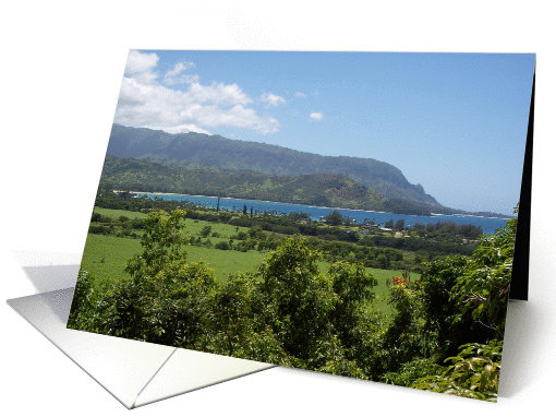Hawaii at a Glance card (291937)