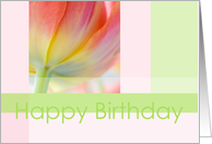 Colors of Spring Tulip card