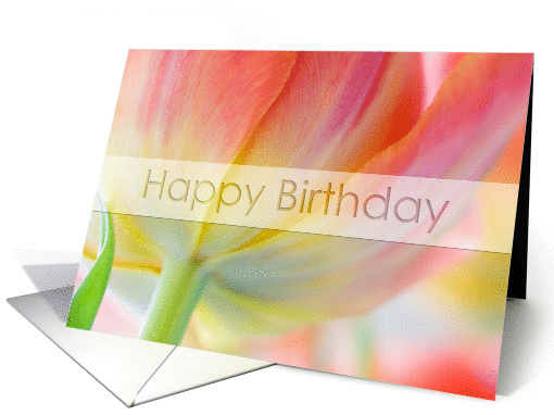 Colors of Spring Tulip card (299243)