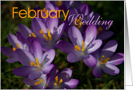 Purple Crocuses card